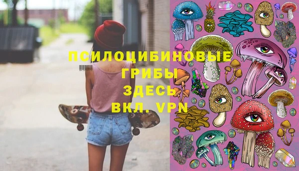 метамфетамин Гусев