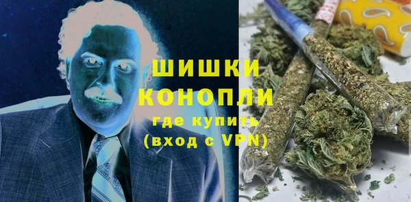 прущие грибы Гусь-Хрустальный
