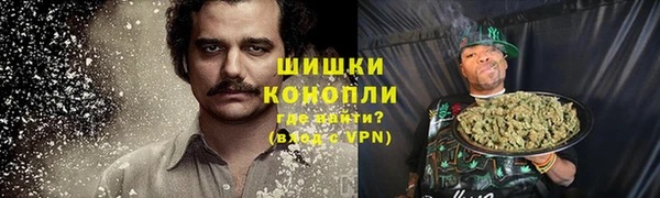 прущие грибы Гусь-Хрустальный