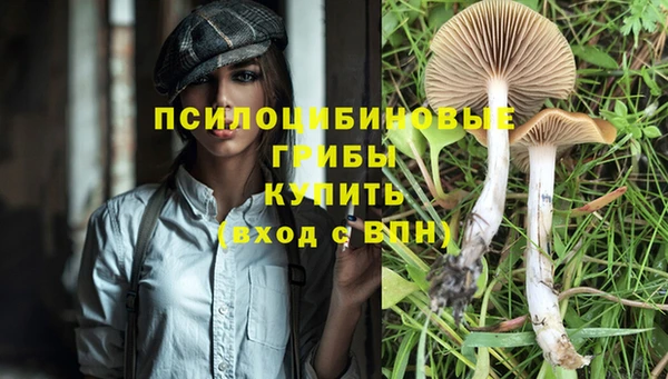 тгк Гусиноозёрск