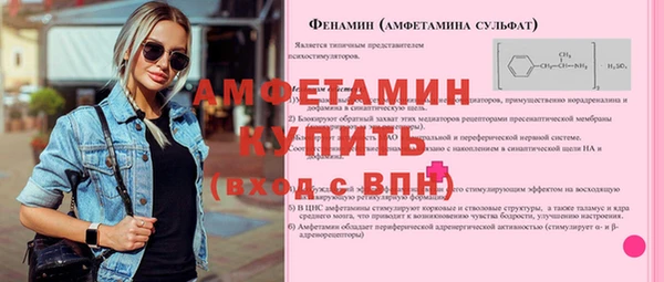 прущие грибы Гусь-Хрустальный