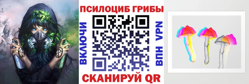 Псилоцибиновые грибы мухоморы купить цена Камышин